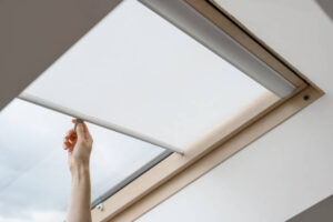 Top 10 Windows for Energy Efficiency