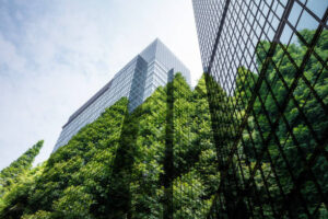 Environmental Impact of Glass: Go Green